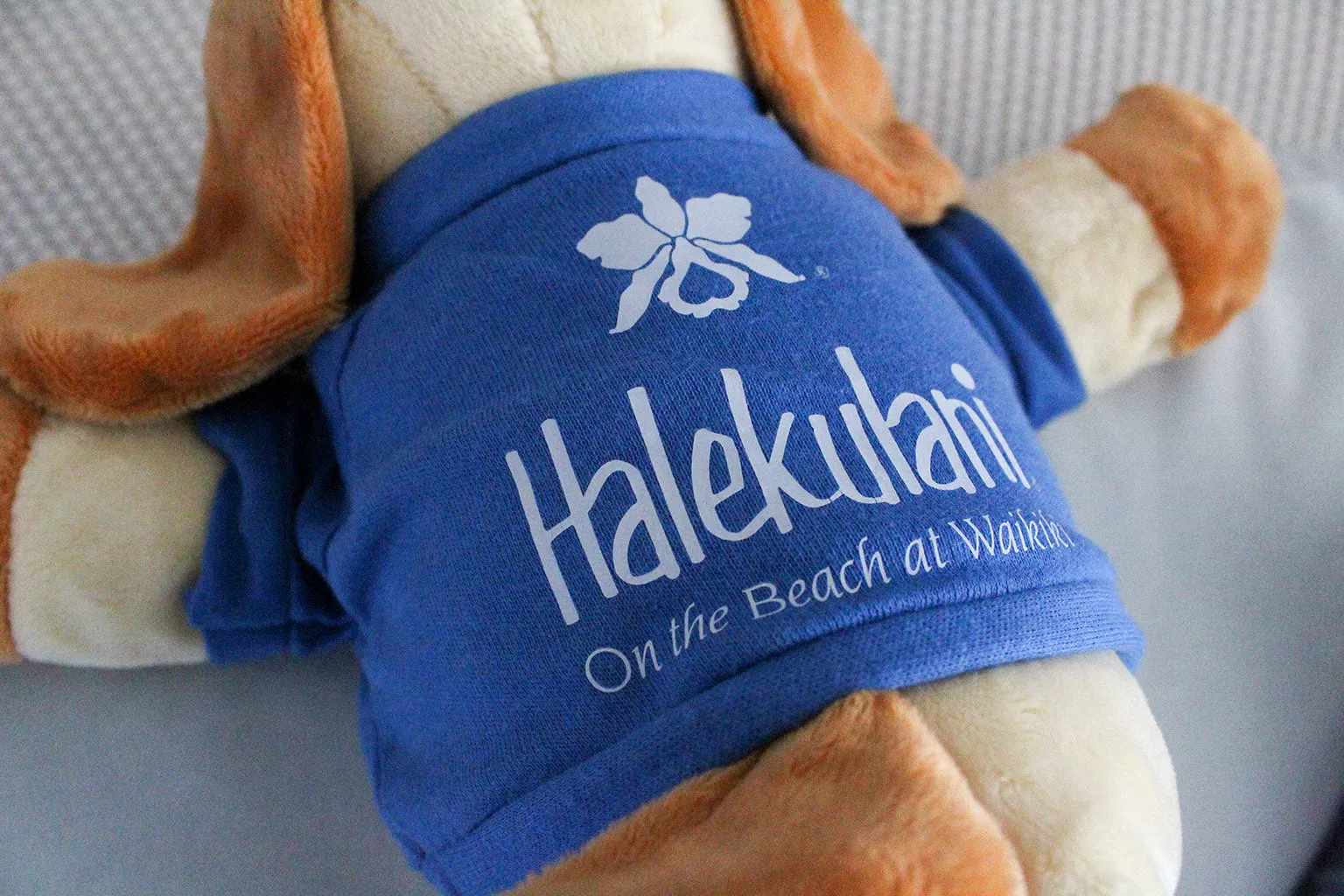 Halekulani Floppy Puppy Mini