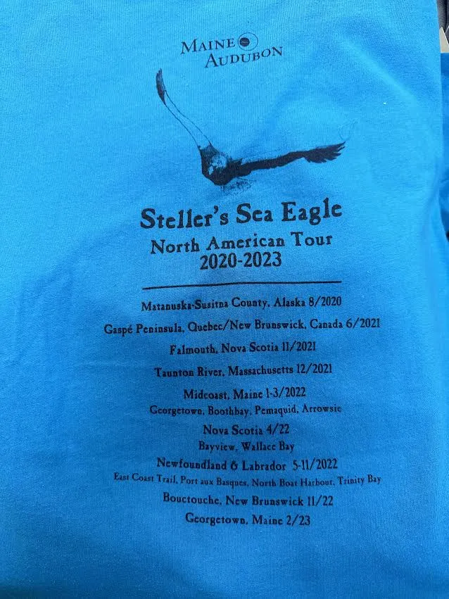 Steller's Sea Eagle Women's Short Sleeve V-Neck T-Shirt